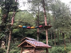 -梦幻奥陶纪景区