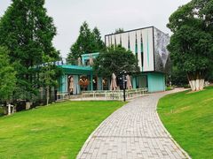 -铁山坪森林公园