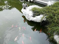 -口岸雕花楼