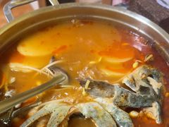 -弘烨 贵州酸汤 鱼火锅(东财店)