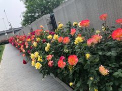 -北京联合大学(北四环校区)