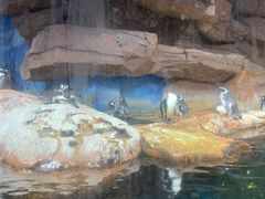 -海合安武汉极地海洋公园