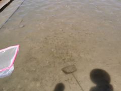 -党河风情线国家水利风景区