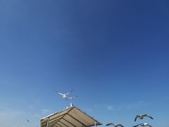 -海驴岛(荣成市)