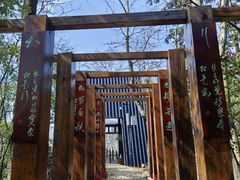 -云碧峰国家森林公园