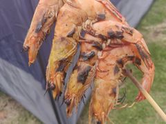 -鹤之洲湿地公园