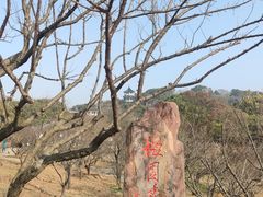 -无锡梅园公园