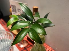 -Primo·丽莫意大利窑烤披萨