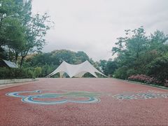 -广州市流溪河国家森林公园
