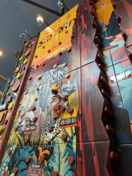 -卡通尼·Safari非洲探索乐园·生日会(金桥国际商业广场店)