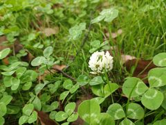 -艾溪湖湿地公园