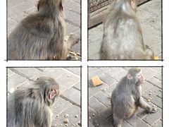 -北京动物园