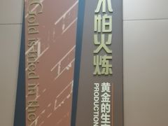 -烟台自然博物馆