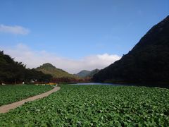 -广州市石门国家森林公园
