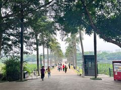 -南宁南湖公园