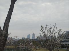 -后襄河公园