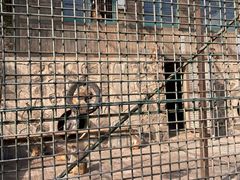 -南京金牛湖风景区