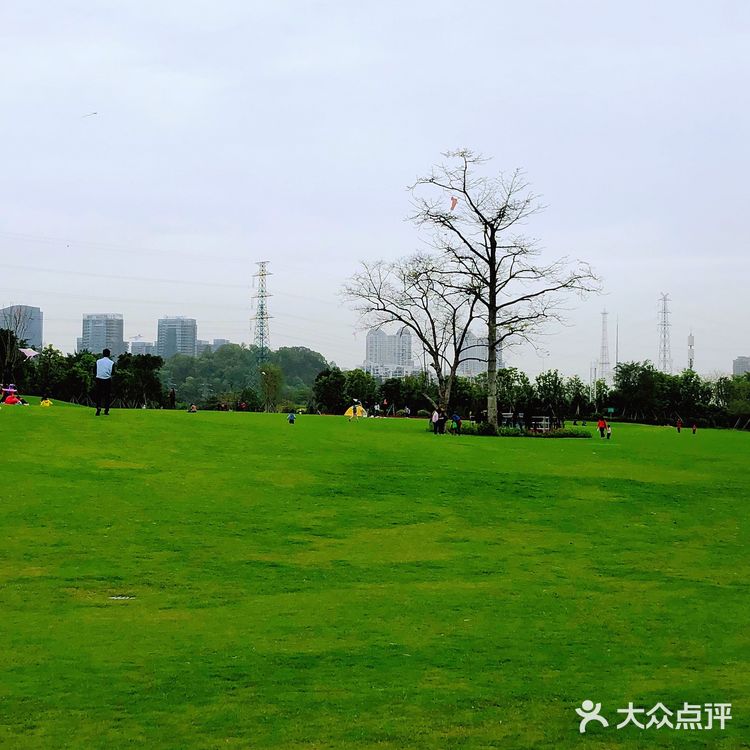 【顺德日记：顺峰山公园旅游攻略】