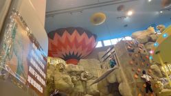 -卡通尼·Safari非洲探索乐园·生日会(金桥国际商业广场店)