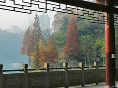 -重庆彩云湖湿地公园