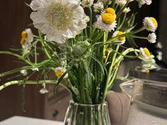 -一棵树·意大利西餐厅One Tree(新城店)