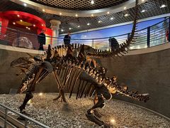 -国家自然博物馆