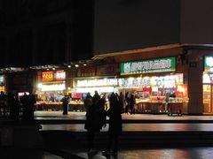 -人民防洪胜利纪念塔