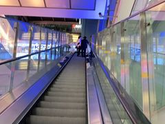 -青瓷火锅料理(西单大悦城店)