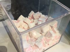 -狐狸和向日葵(北京路店)