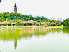 -顺峰山公园