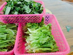 -黄家菜园农庄