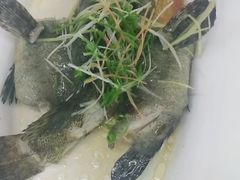 -沪华海鲜大酒楼(南汇店)