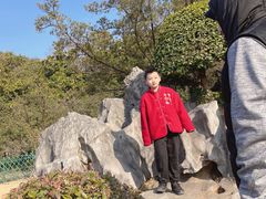 -花溪公园