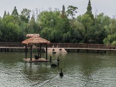 -溱湖国家湿地公园