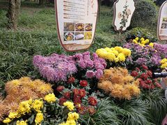 -杭州植物园