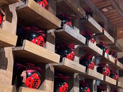 -泥糊破店小酒馆·团建聚餐(南京西路店)