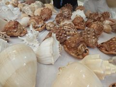 -万达广场(武汉菱角湖店)