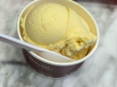 香草单球-哈根达斯(美罗城店)