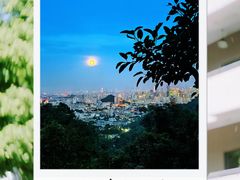 -广州市白云山风景名胜区