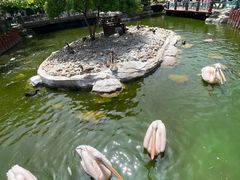 -大连老虎滩海洋公园
