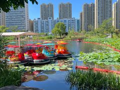 -宁波儿童公园(鄞州区)
