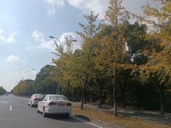 -胜华驾校·小猫学车(银都店)