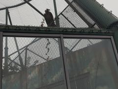 -无锡动物园·太湖欢乐园