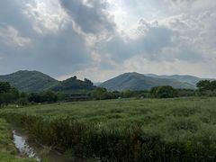 -径山花海