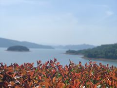 -逸廊大堂吧-下午茶·简餐-千岛湖自由洲际殿