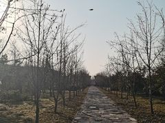-广富林郊野公园