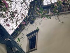 -深圳国际园林花卉博览园