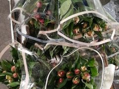 -循礼门鲜花花市(武汉循礼门店)