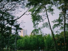 -晓港公园