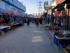 -中环花鸟鱼虫市场
